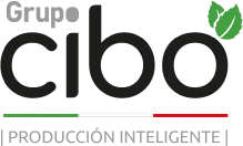 Grupo Cibo